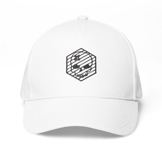 Classic baseball cap- DrSkullbasher Edition